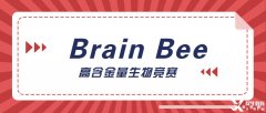 神經科學生必選的Brain Bee腦科學大賽詳解，5-12年級均可參加