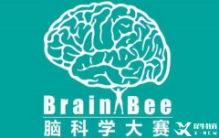 BrainBee腦科學(xué)競賽輔導(dǎo)|競賽時(shí)間/適合對象/參賽形式