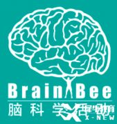 Brain bee腦科學(xué)競賽考試規(guī)則全解，附Brainbee競賽輔導(dǎo)班！