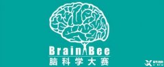 為什么Brain Bee腦科學(xué)大賽越來越受歡迎？附24年Brain Bee比賽時(shí)間