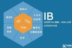 太全了！一文詳解IB課程體系！附9-12年級IB升學時間軸