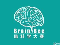 零基礎可以參加什么生物競賽？BrainBee腦科學培訓輔導課程推薦！