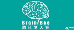 Brain Bee腦科學(xué)大賽備考須知！備考Brain Bee競(jìng)賽考前輔導(dǎo)培訓(xùn)班有嗎？