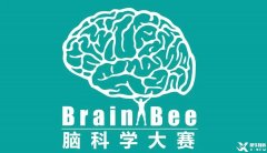 Brainbee腦科學(xué)大賽，零基礎(chǔ)居然也能參加的生物競賽！