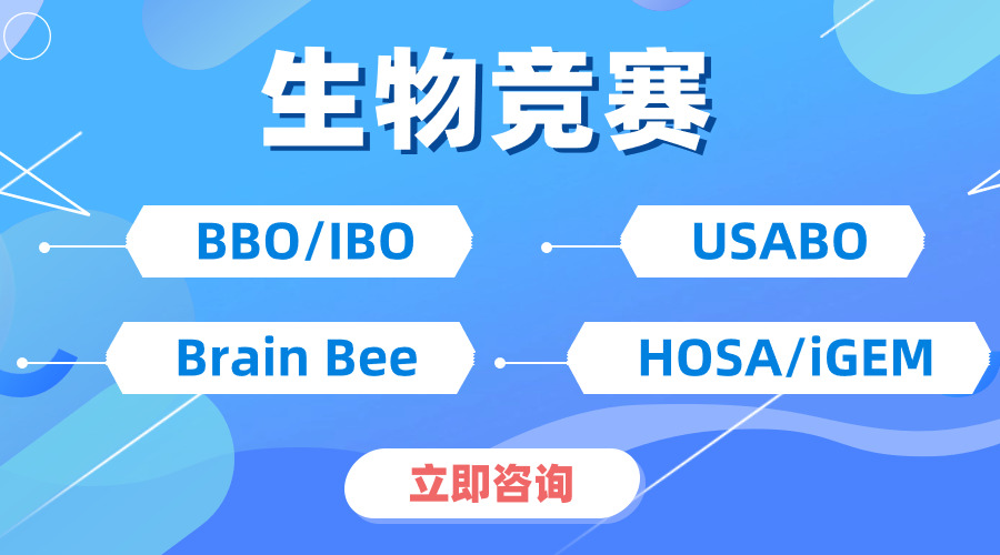 一文搞懂！BrainBee生物競賽怎么報名？競賽形式具體是什么樣的？